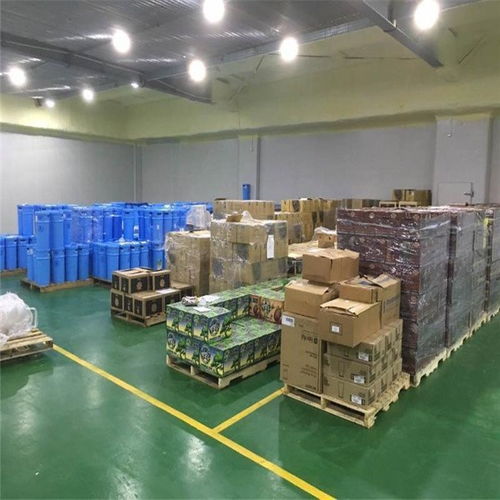 上海到綏化冷鏈專線 連接南北的高效物流動脈與行業(yè)洞察